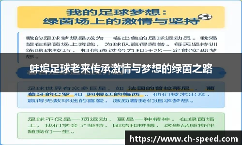 蚌埠足球老来传承激情与梦想的绿茵之路